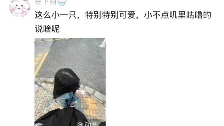 เด็กผู้หญิงตัวเล็กสูง 160 ซม. ใจสลายเบาๆ 😭