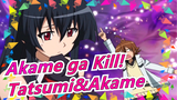 [Akame ga Kill!/Emosional] Adegan Ikonis, Tatsumi&Akame, Sangat Manis!