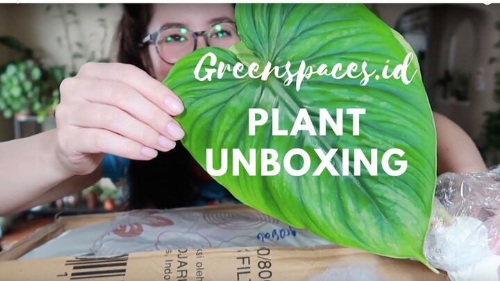 Unboxing Plants From Indonesia | Greenspaces.id