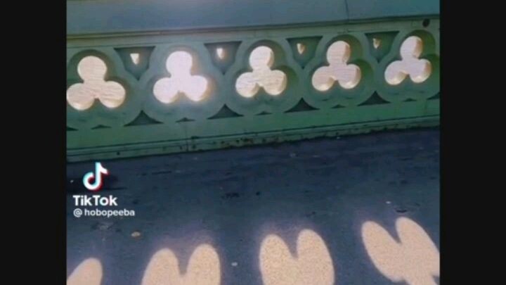 The Weirdest I saw in reddit