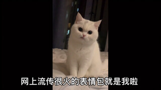 Zhuai Mao's Self-introduction