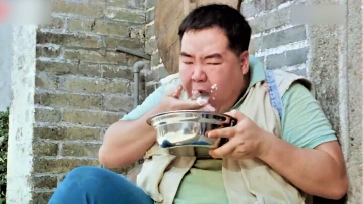 肥猫的智商只有50，被家人抛弃后流浪街头，为填饱肚子和狗抢饭吃！