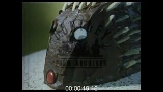 Cake Close-Ups, 1970s - Archive Film 106499