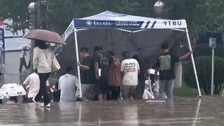 大学生不是笨笨的吗？他们怎么这么聪明