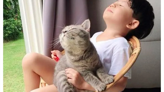 แมวและลูกน่ารักเป็นเพื่อนที่ดีที่สุด 👶🏻😸 แมวและลูกมีช่วงเวลาที่สนุกสนานด้วยกัน