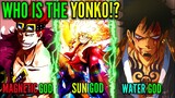 Who Are THE NEW YONKO!? - ANiMeBoi