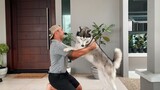 How To Teach Your Dog To Hug
