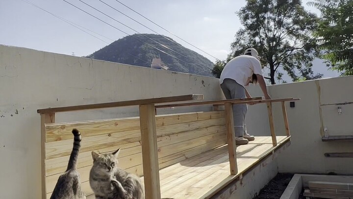 Pada hari hujan lebat, ternyata tempat transit kucing-kucing yang masuk dan keluar halaman sudah rus