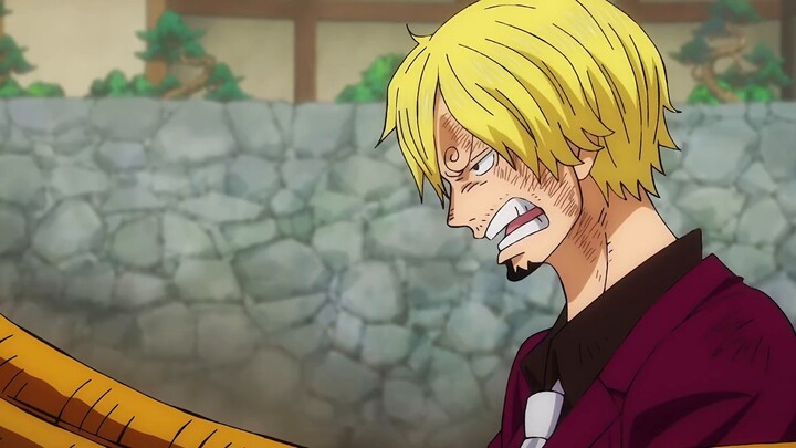 ｢One Piece/Sanji vs Quinn｣ Pure enjoyment battle series · One Piece How exciting is the battle witho