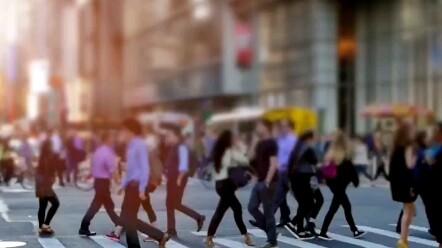 กฎเหล็กใต้ดินของทุกวงการ