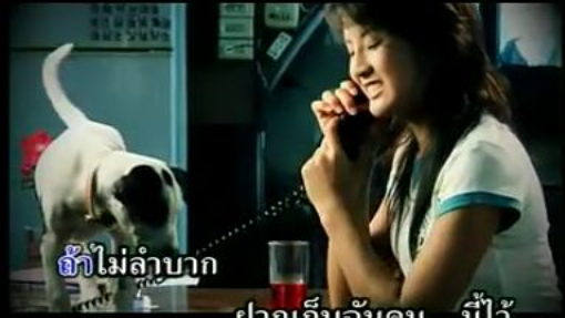 เมื่อถูกความรักหาเจอ จั๊กจั่น วันวิสา