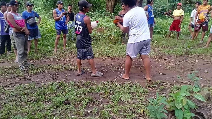 white kelso lang yan boss laki laki ng manok mo ampaw whahahha