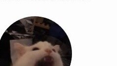 I couldn't hold back when writing this verification code