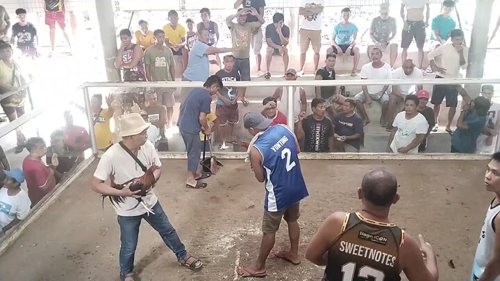 alinbuyugin in action