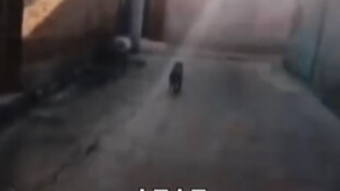 อย่าเล่นมุกแบบนี้กับคู่สามีภรรยาเลย