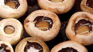 أعتذر لـ Mushroom Soup لأنني تحدثت بصوت عالٍ جدًا من قبل!