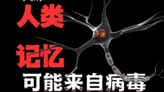人类的记忆可能来自于病毒感染