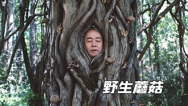 An old man's face grew out of the towering tree