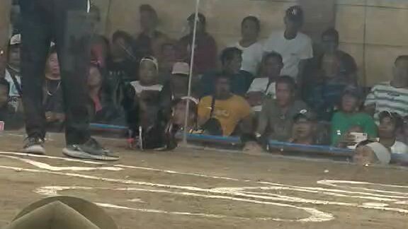 march 1.. 2025..2hits ulutan..2years old hatch..unang laban..win..ka combined loss..