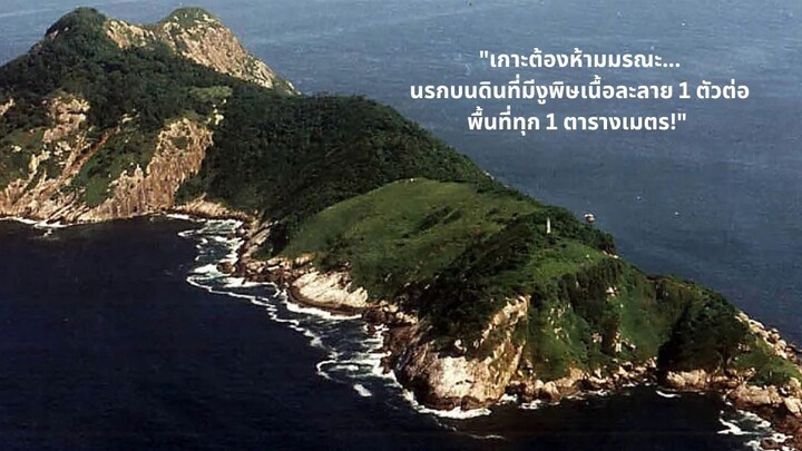 "เกาะต้องห้ามมรณะ... นรกบนดินที่มีงูพิษเนื้อละลาย 1 ตัวต่อพื้นที่ทุก 1 ตารางเมตร!"