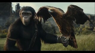 Kingdom of the Planet of the Apes _ Teaser Trailer