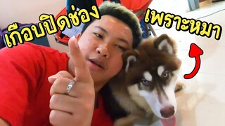 VLOG เกือบปิดช่องเพราะหมา! #ความสุขของบรรเจิด