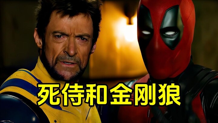 Keseharian si Serigala Nakal Suka Bertengkar, Benar-Benar Kocak Banget.