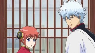 Gintama: Yorozuya is so poor that Gintoki Kagura and Sadaharu are fighting for dog food!!