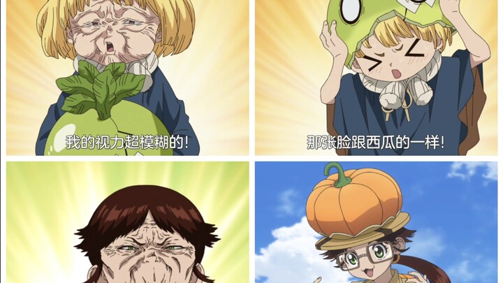 แตงโมและฟักทอง: คู่แข่งใน Dr. Stone ซีซั่น 4