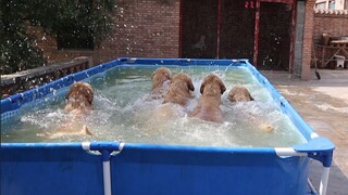 Since we had a swimming pool, the only thing left for bathing is applying shower gel.