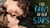 The Fault in Our Stars 2014 1080p HD