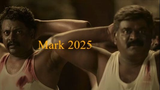 Mark 2025 Hindi.AAC.h264