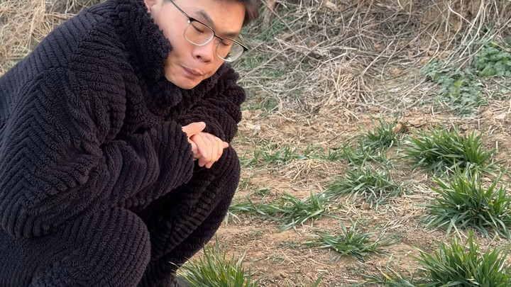 الفرق بين المدرسة والمنزل