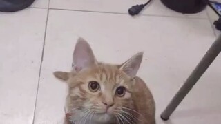 Ketika kamu tiba-tiba berhenti menyentuh tangan tuanmu