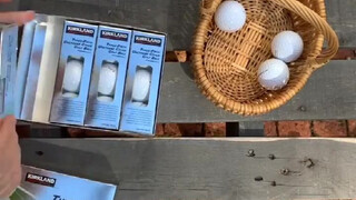 夫妻吵架后，丈夫想办法整蛊妻子，妻子也想好了复仇计划