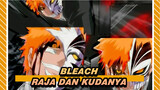 [Bleach] Seorang Raja dan Kudanya