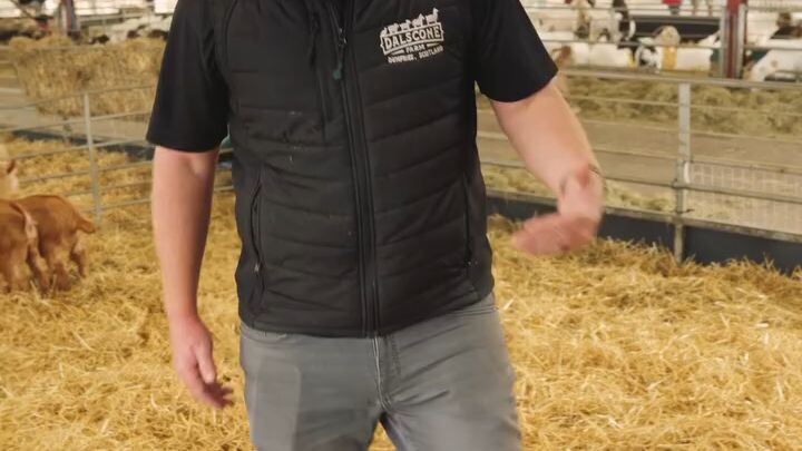 Dalscone Farm #Dalscone