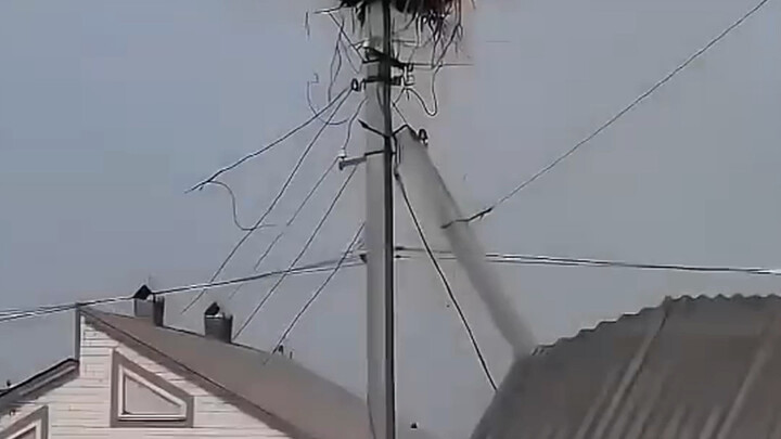 اضطررت إلى القيام بذلك!