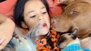 Gadis tersebut menyanyikan lagu pengantar tidur untuk hewan-hewan kecil, kucing, anjing, ayam, dan b