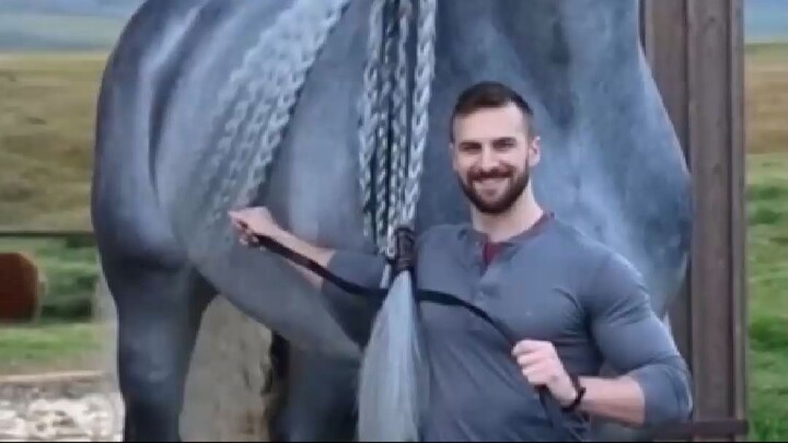 1 minuto animal - Os Cavalos Mais Fortes do Mundo #animais #curiosidades