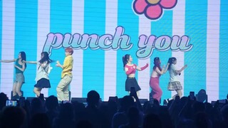 الصينيون لديهم بنك الموسيقى الخاص بهم｜بوبل تقدم دعمًا قويًا في حفلة الأغاني