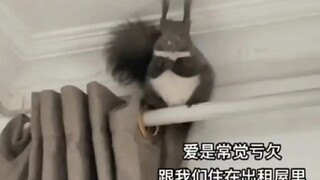 笑拥了，网友辣评令郎的体重哈哈哈哈哈🤣