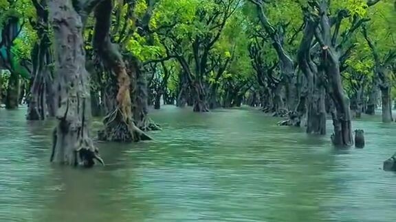 Sunamganj Tawngor Howor
