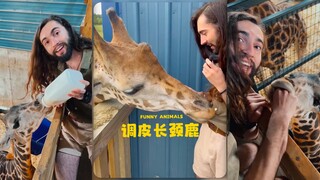 ยีราฟจับอะไรก็ต้องกัดสักหน่อยทุกครั้งเลยเหรอ⁉️🦒