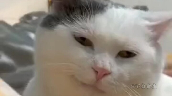 “Penghargaan Video Abstrak”