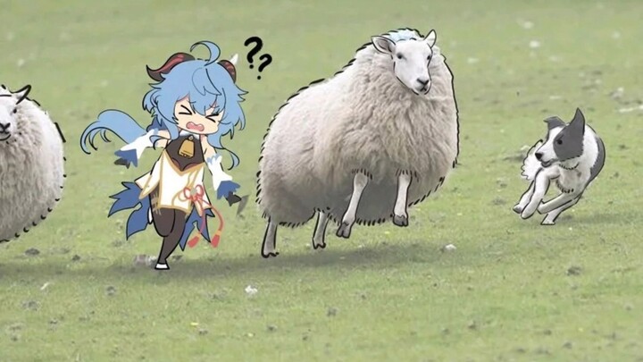 While You're At It, Grab a Sheep Too