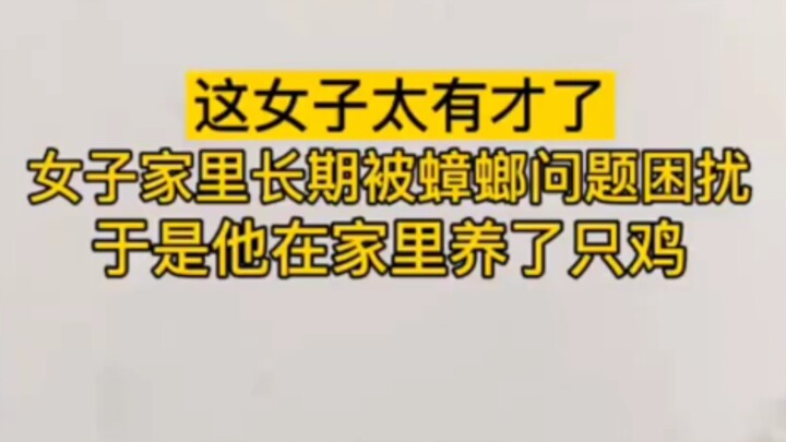 鸡：多养两只吧！我感觉我搞不赢