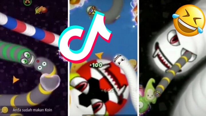 TikTok WormsZone io Compilation Video ( Best Tik Tok Worms Zone io Gameplay Compilation ) #2