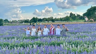 i Love Flower Farm 2023 เปิดซีซั่นใหม่ 12 ต.ค.66 นี้เน้อ..