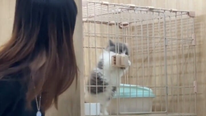 There is a kind of clip sound called "only for you"